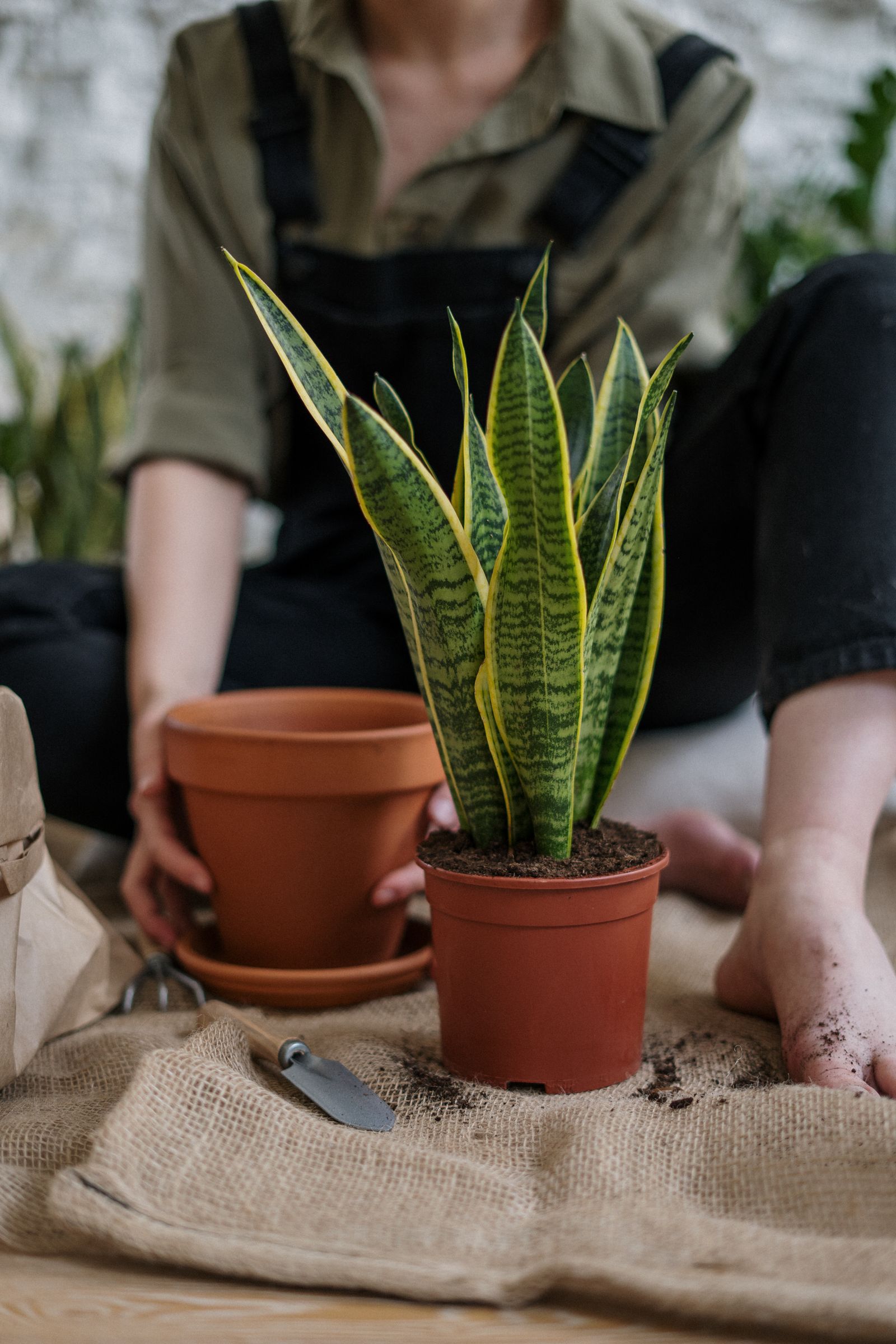 Artificial plants and flowers arranged in decorative pots