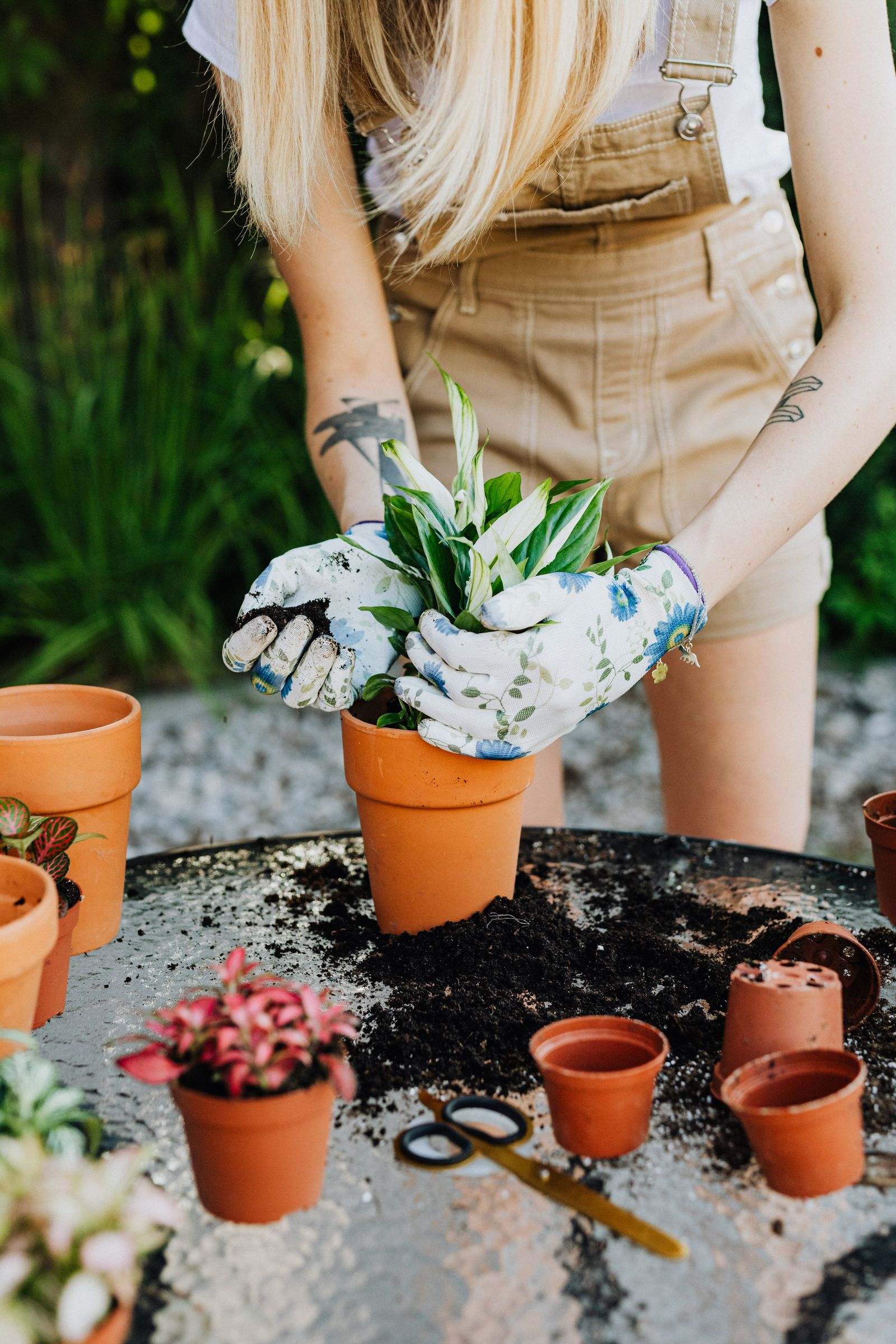Assorted plant pots and planters in various materials