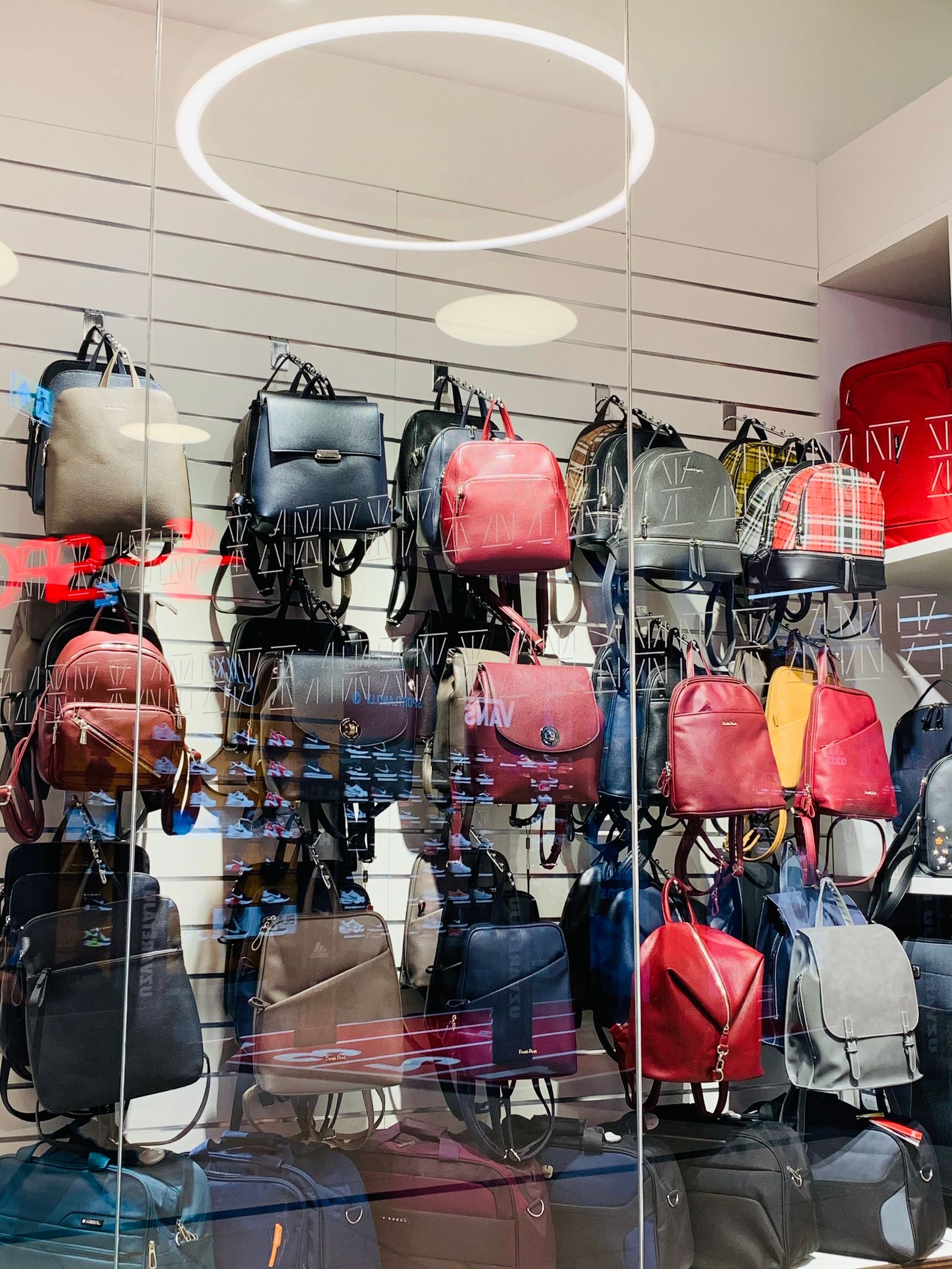 Backpacks neatly lined on a retail rack