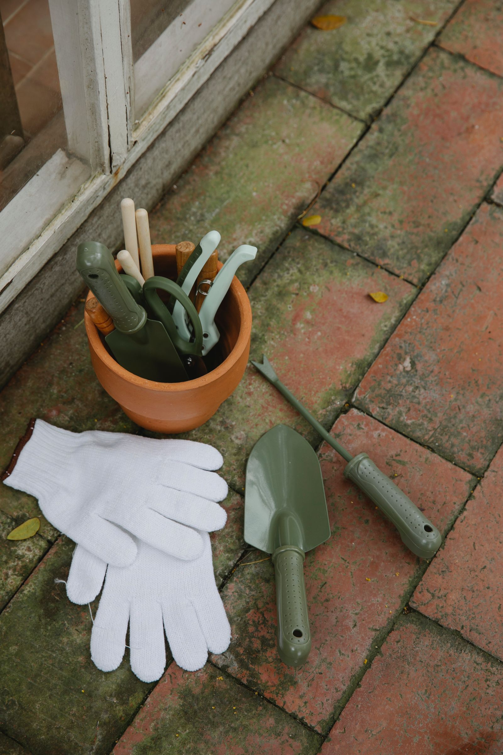Gardening tools and supplies arranged on a wooden table